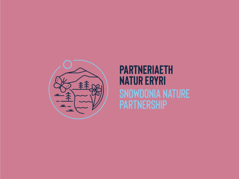 Partneriaeth Natur Eryri
