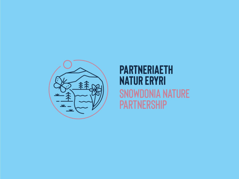 Partneriaeth Natur Eryri