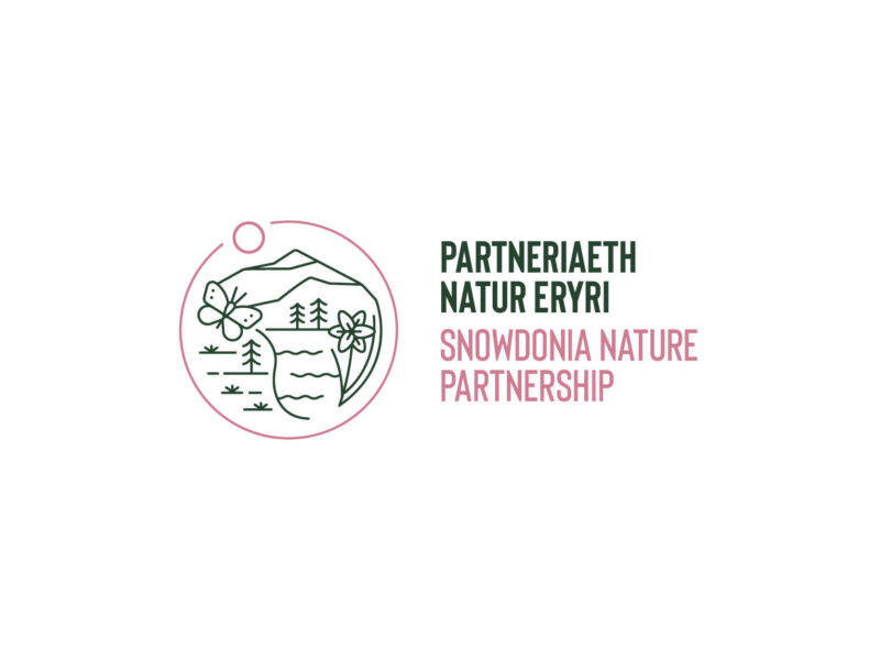 Partneriaeth Natur Eryri
