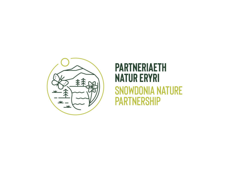 Partneriaeth Natur Eryri