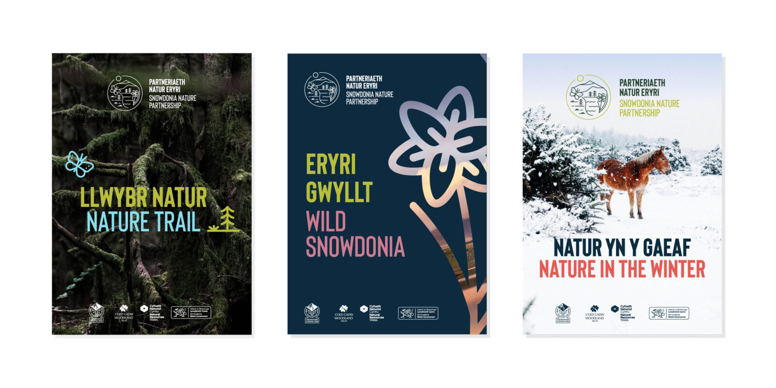 Partneriaeth Natur Eryri
